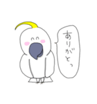 キバタンのぴっけ（個別スタンプ：10）