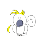 キバタンのぴっけ（個別スタンプ：11）