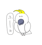 キバタンのぴっけ（個別スタンプ：14）