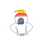 キバタンのぴっけ（個別スタンプ：16）