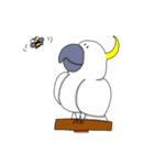 キバタンのぴっけ（個別スタンプ：17）