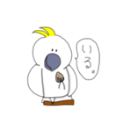 キバタンのぴっけ（個別スタンプ：20）
