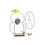キバタンのぴっけ（個別スタンプ：21）