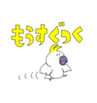 キバタンのぴっけ（個別スタンプ：24）