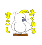 キバタンのぴっけ（個別スタンプ：26）