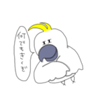 キバタンのぴっけ（個別スタンプ：29）