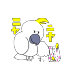 キバタンのぴっけ（個別スタンプ：30）