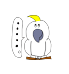 キバタンのぴっけ（個別スタンプ：31）