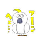 キバタンのぴっけ（個別スタンプ：38）