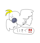 キバタンのぴっけ（個別スタンプ：39）