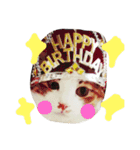 かわいいねこ ころん。（個別スタンプ：31）