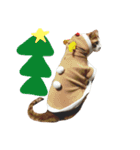 かわいいねこ ころん。（個別スタンプ：33）
