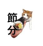 かわいいねこ ころん。（個別スタンプ：35）