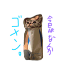 蔵stamp 2（個別スタンプ：7）