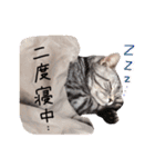 まいける and うめこ（個別スタンプ：6）