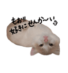 まいける and うめこ（個別スタンプ：33）