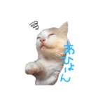 まいける and うめこ（個別スタンプ：35）