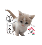 まいける and うめこ（個別スタンプ：39）