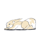 Ferret cat（個別スタンプ：2）