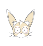 Ferret cat（個別スタンプ：5）