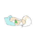 Ferret cat（個別スタンプ：11）