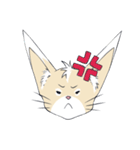 Ferret cat（個別スタンプ：12）