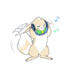 Ferret cat（個別スタンプ：16）