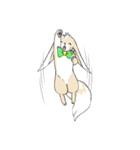 Ferret cat（個別スタンプ：17）