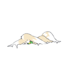 Ferret cat（個別スタンプ：21）