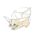 Ferret cat（個別スタンプ：33）