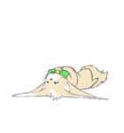 Ferret cat（個別スタンプ：37）