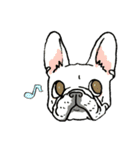 色々なフレンチブルドッグ（個別スタンプ：1）