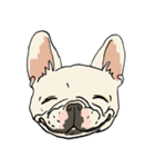 色々なフレンチブルドッグ（個別スタンプ：4）