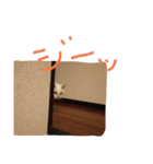 みんな家族2（個別スタンプ：9）