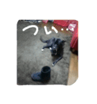 みんな家族2（個別スタンプ：10）