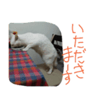 みんな家族2（個別スタンプ：11）