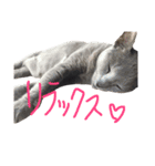 モノトーンニャンズ（個別スタンプ：38）