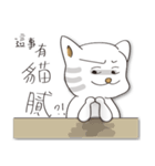 A calculating cat.（個別スタンプ：19）