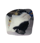 ぶしゅ（個別スタンプ：1）
