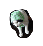 ぶしゅ（個別スタンプ：3）