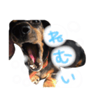 べったんすたんぷ。（個別スタンプ：8）