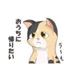 三毛猫のハナカ（個別スタンプ：1）