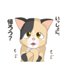 三毛猫のハナカ（個別スタンプ：2）