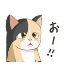 三毛猫のハナカ（個別スタンプ：4）