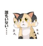 三毛猫のハナカ（個別スタンプ：5）