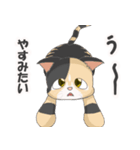 三毛猫のハナカ（個別スタンプ：6）