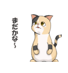 三毛猫のハナカ（個別スタンプ：7）