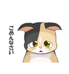 三毛猫のハナカ（個別スタンプ：8）