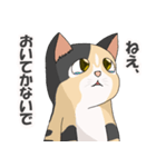 三毛猫のハナカ（個別スタンプ：10）