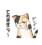 三毛猫のハナカ（個別スタンプ：11）